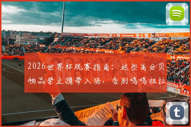 2026世界杯观赛指南：这些高分贝物品禁止携带入场，告别呜呜祖拉刺耳噪音